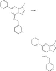 Figure US07119200-20061010-C00699