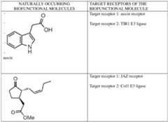 Figure imgf000496_0002