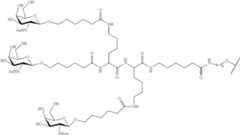 Figure US09181549-20151110-C00458