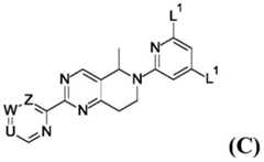 Figure BDA0001455166200000621