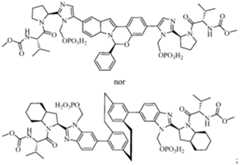Figure imgf000009_0001