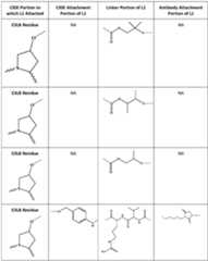 Figure imgf000305_0001