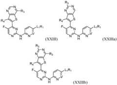 Figure imgf000026_0002