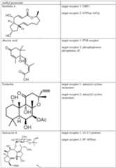 Figure imgf000497_0001