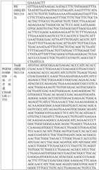 Figure BDA0004033970230005811