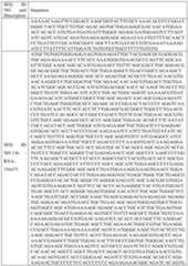 Figure imgf000078_0001