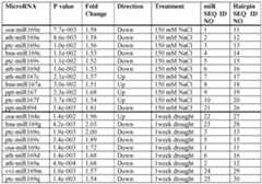 Figure imgf000060_0001