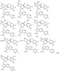 Figure imgf000116_0001