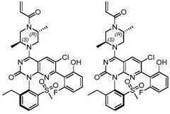 Figure BDA0002861043520001162