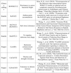 Figure PCTCN2022090268-appb-000033