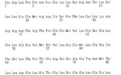 Figure 104119686-A0305-02-0161-1