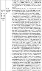 Figure BDA0004033970230005111