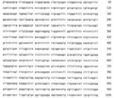 Figure 108131991-A0202-12-0215-924