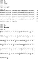 Figure IPA0000296957260000121