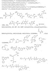 Figure imgf000011_0001