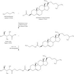 Figure US09320798-20160426-C00031