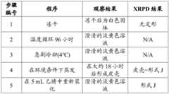 Figure BDA0003059584310001131