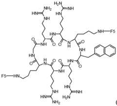 Figure imgf000073_0002