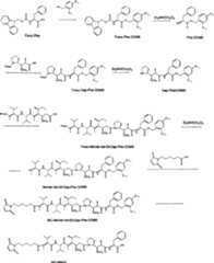 Figure A20048003970602481