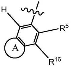 Figure BDA0001702803240000455