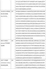 Figure BDA0004113681710000771