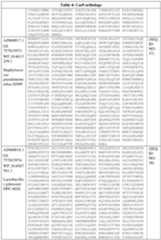 Figure imgf000033_0001