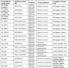 Figure imgf000095_0002