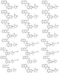 Figure GDA0003379855500001701