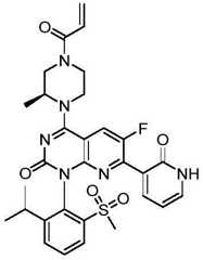 Figure BDA0002861043520001083