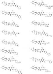 Figure 112012001964388-pct00021