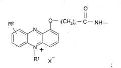 Figure BDA00003376975800371