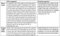 Figure imgf000054_0002