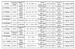 Figure imgf000251_0001