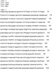 Figure IDA0002935257620000071