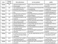 Figure imgf000011_0001