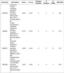 Figure imgf000045_0001