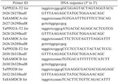 Figure PCTCN2022090268-appb-000170