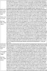 Figure imgf000162_0001