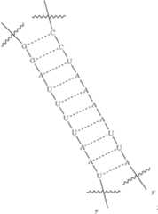 Figure US12338436-20250624-C00419