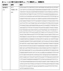 Figure 0007483732000077