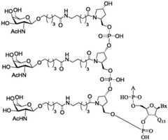 Figure BDA0003018192690001011