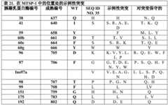 Figure BDA0002387787820002041