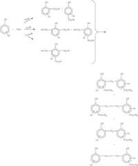 Figure US08143357-20120327-C00003