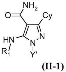 Figure FDA0002673094520000171