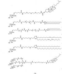 Figure imgf000025_0001