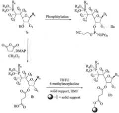 Figure imgf000145_0001