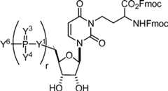 Figure AU2019202835A1_D0100