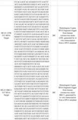 Figure imgf000114_0001