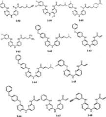 Figure BPA00001476434900551