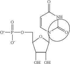 Figure US10501513-20191210-C00088
